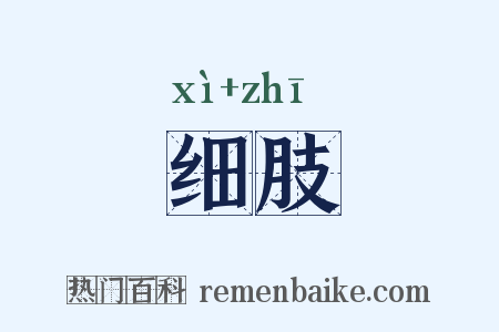 细肢是什么意思的图片